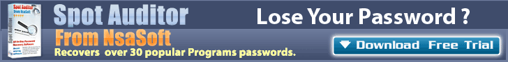 SpotAuditor password recovery solution